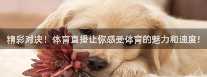 51视频在线直播nba：精彩对决！体育直播让你感受体育的魅力和速度!